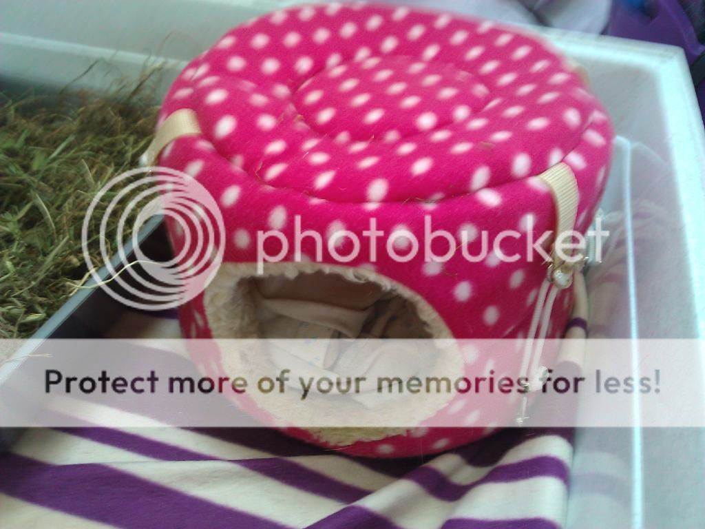 WP_000912.jpg