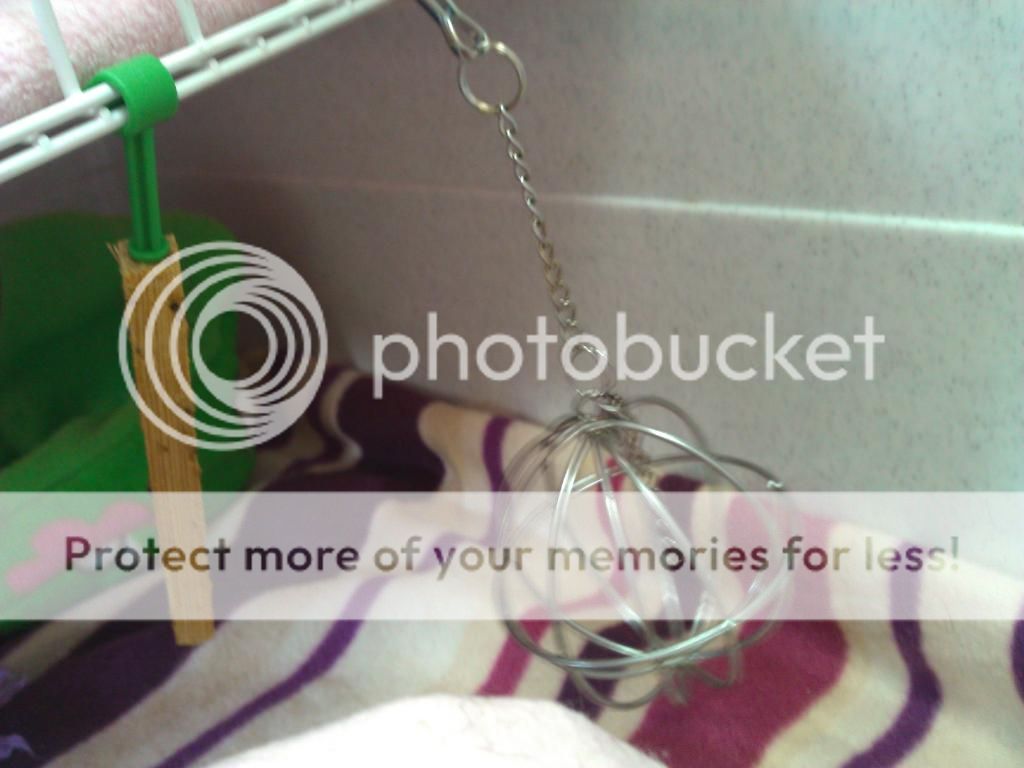 WP_000919.jpg