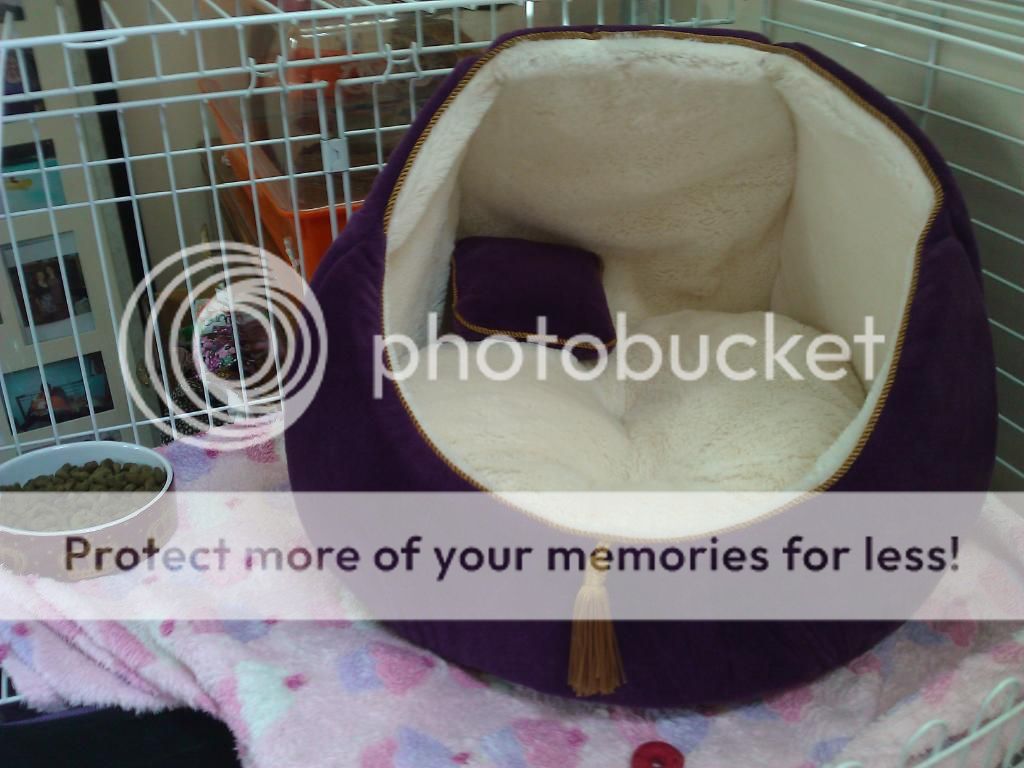 WP_000939.jpg