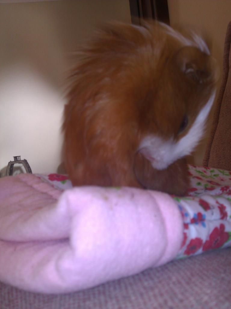 WP_001216.jpg