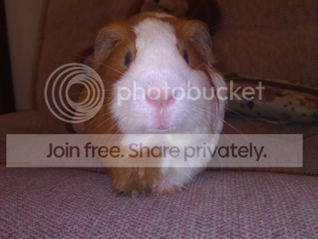WP_001980.jpg