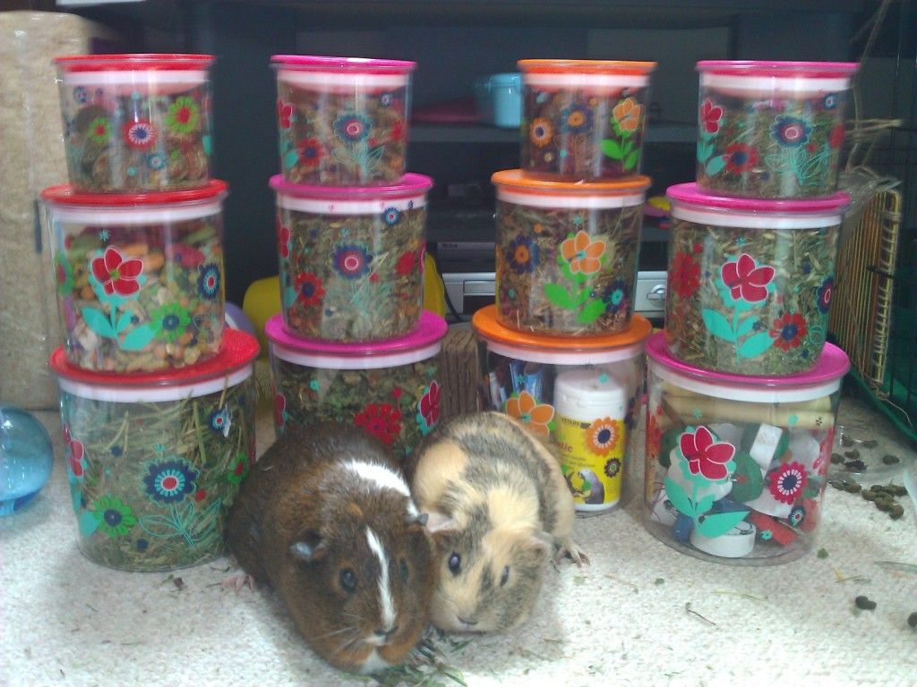 WP_002010.jpg