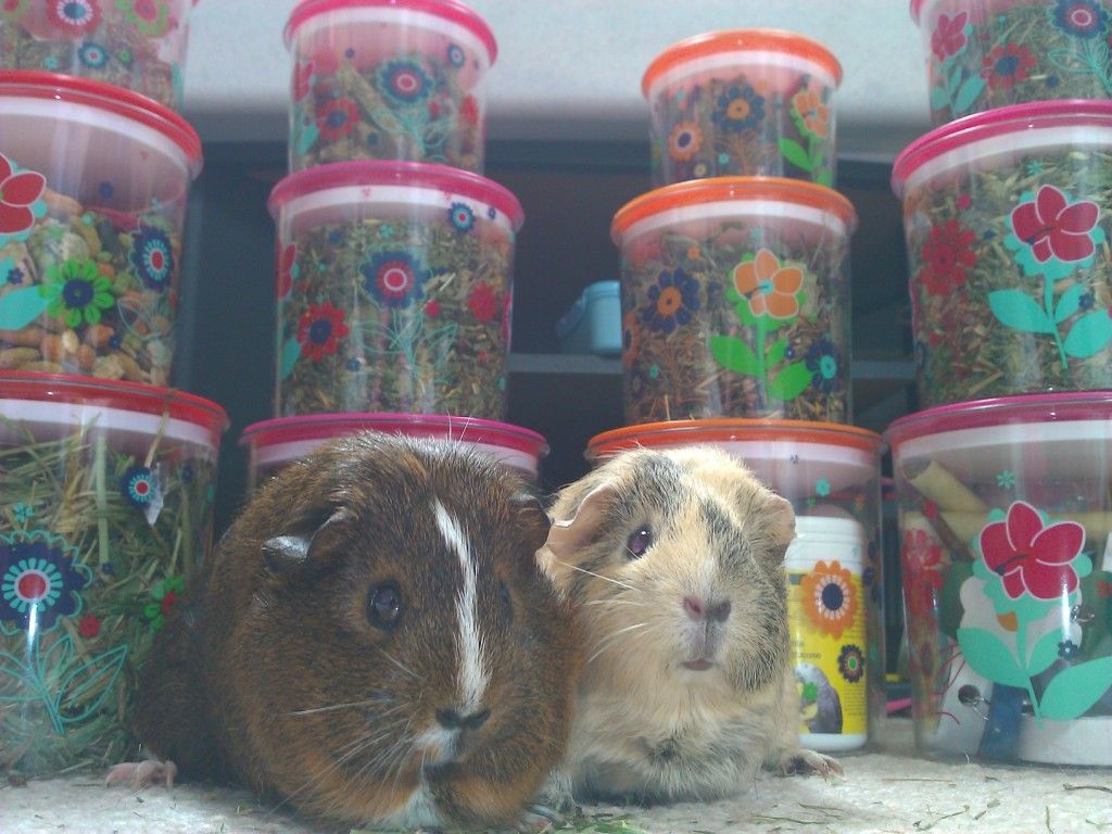 WP_002011.jpg