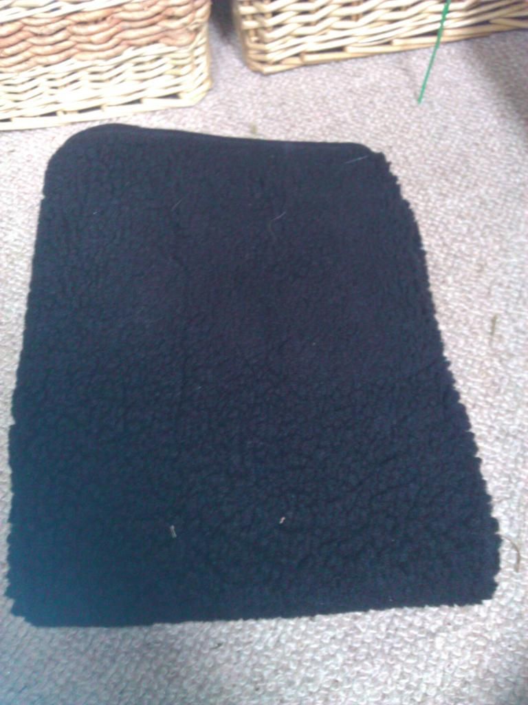 WP_002155.jpg