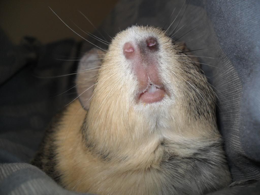 mmmmmmmmmmmmmmmmmmmmmmmm.jpg